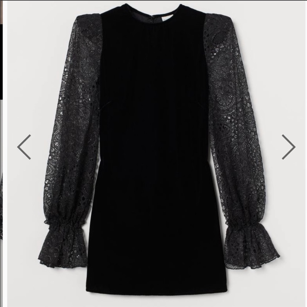 H&M The Vampire's Wife Lace Sleeve Mini Dress